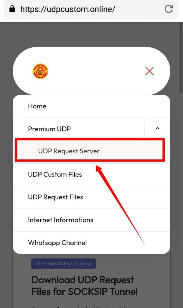 udp request premium server