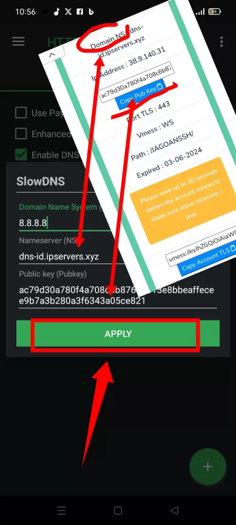  V2Ray DNS on HTTP Custom VPN