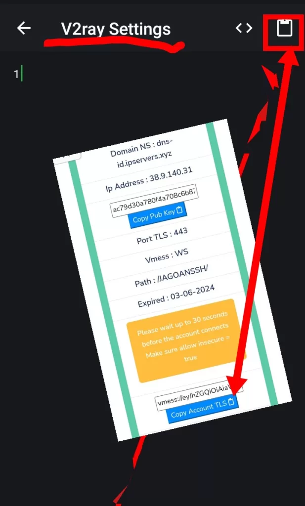  V2Ray DNS on HTTP Custom VPN